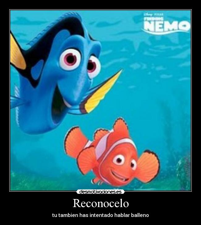 Reconocelo - tu tambien has intentado hablar balleno