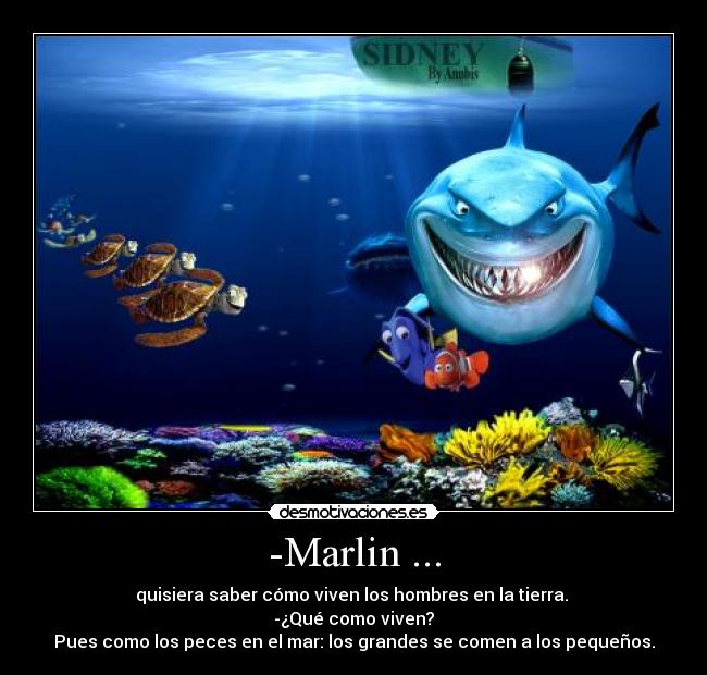 -Marlin ... -