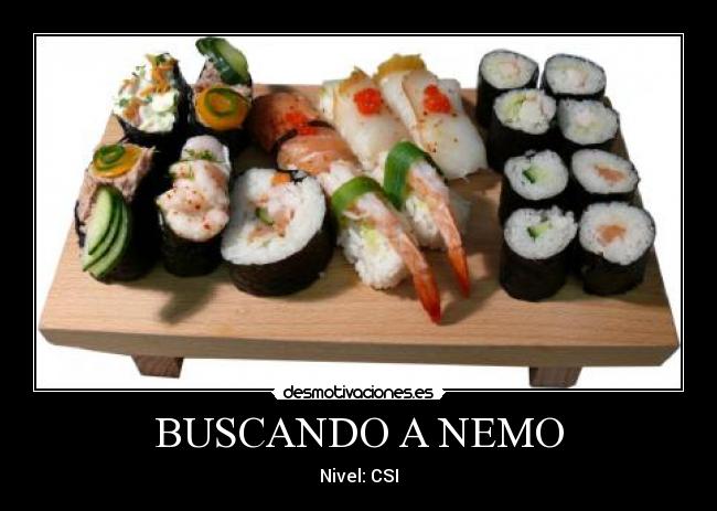 BUSCANDO A NEMO -