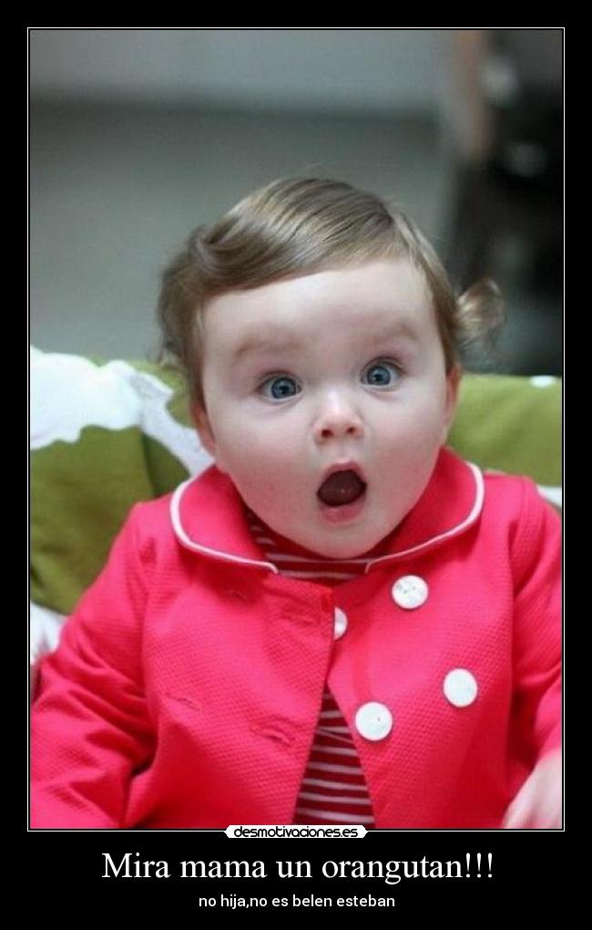 Mira mama un orangutan!!! -