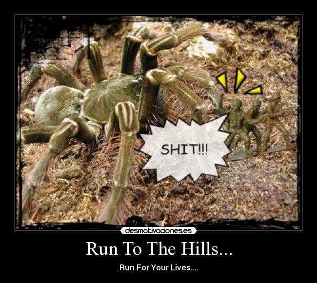 Run To The Hills... - Run For Your Lives....