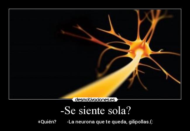 -Se siente sola? - +Quién? -La neurona que te queda, gilipollas.(: