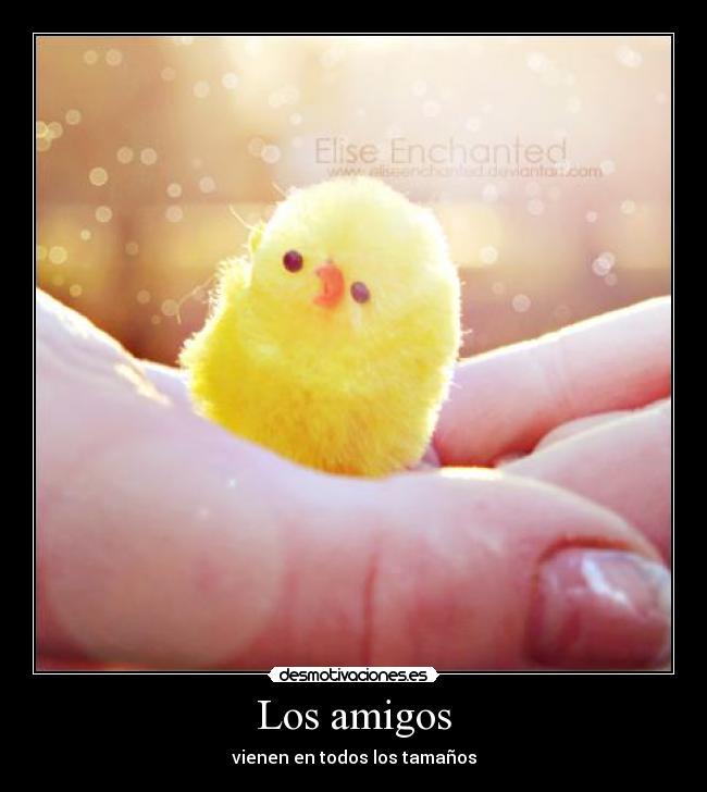 carteles amigos amigos motivacion pollito lindo amistad desmotivaciones