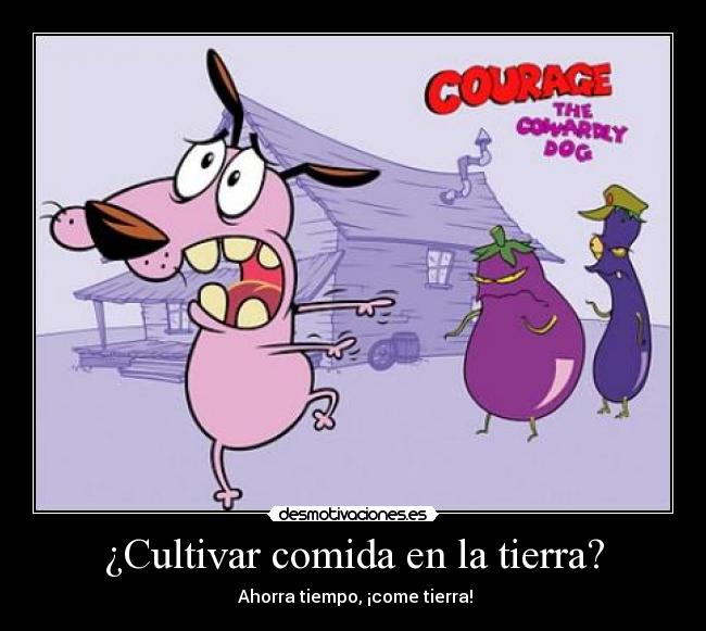 ¿Cultivar comida en la tierra? -