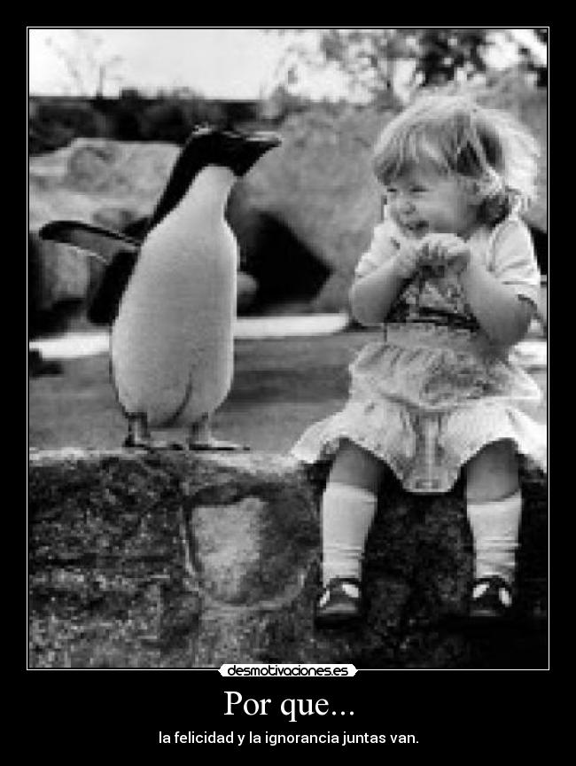 Por que... - la felicidad y la ignorancia juntas van.