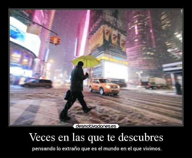 Veces en las que te descubres -  pensando lo extraño que es el mundo en el que vivimos.