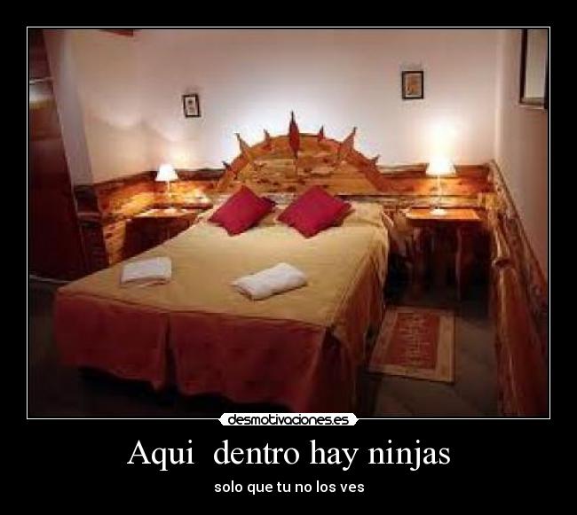 Aqui dentro hay ninjas - solo que tu no los ves