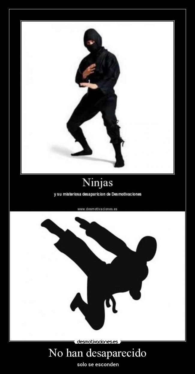 No han desaparecido -