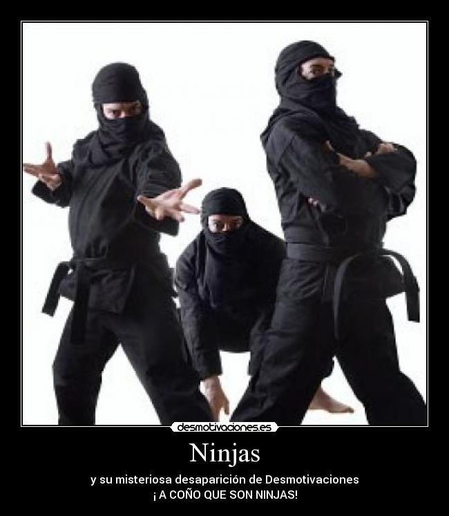 Ninjas -