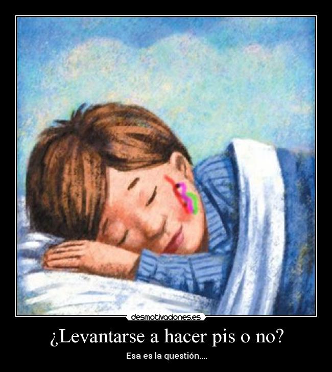 ¿Levantarse a hacer pis o no? - 