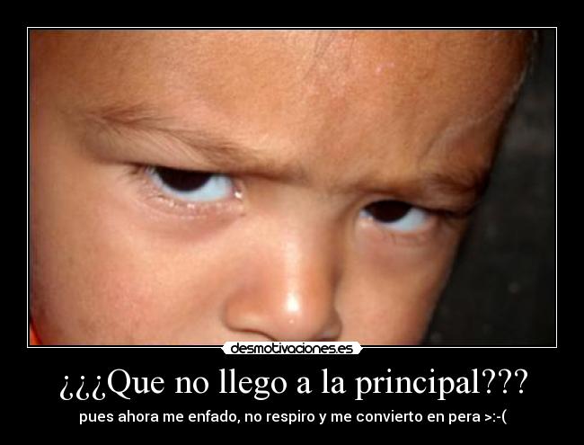 carteles xirigota desmotivaciones