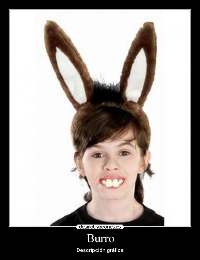 Burro -