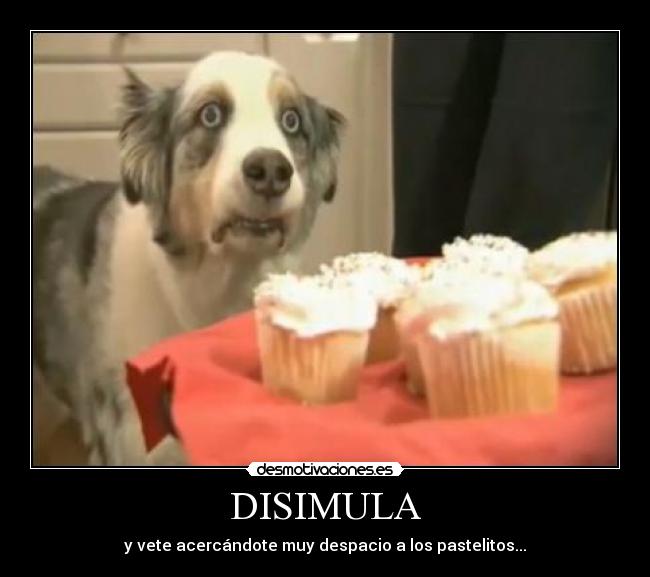 DISIMULA - 