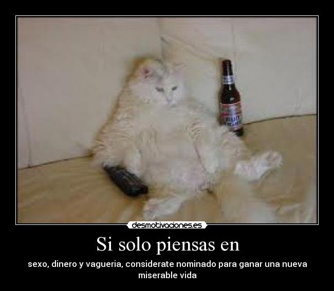 Si solo piensas en - sexo, dinero y vagueria, considerate nominado para ganar una nueva miserable vida