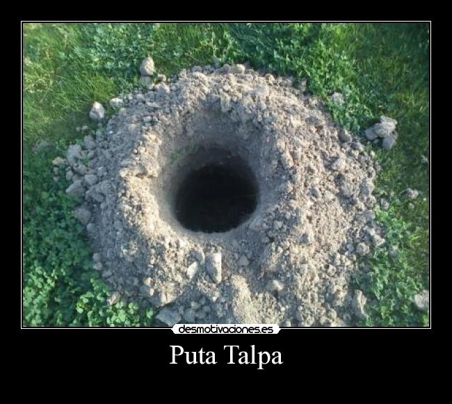 Puta Talpa -