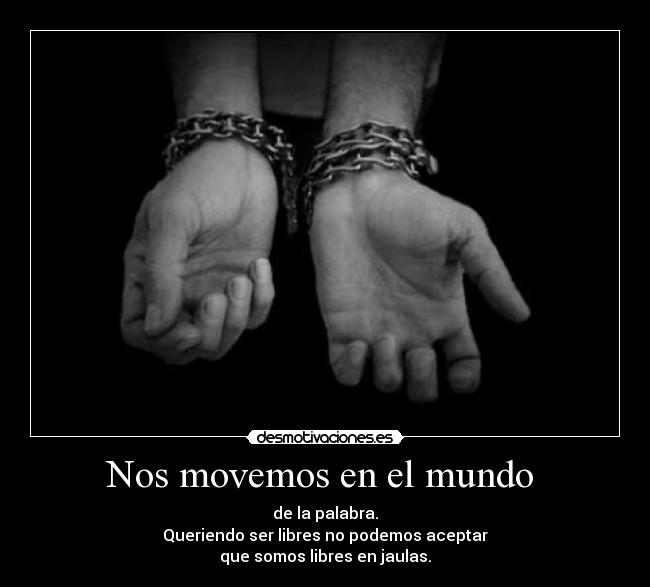 Nos movemos en el mundo -