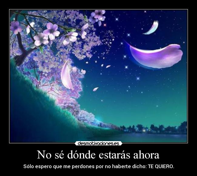 No sé dónde estarás ahora - 