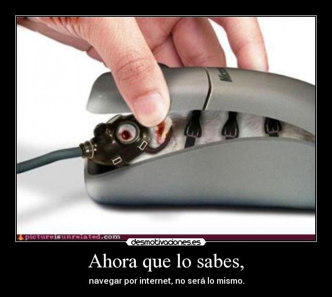 Ahora que lo sabes, -