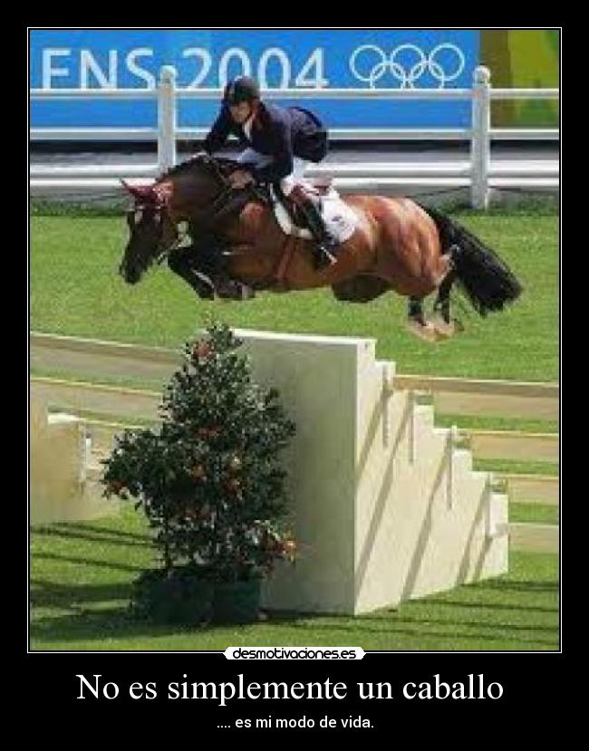 No es simplemente un caballo  - 