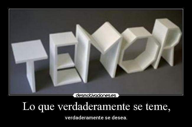 carteles miedo querer desmotivaciones