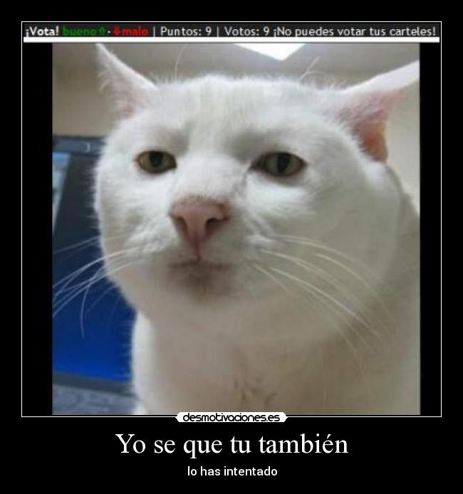 Yo se que tu también - 