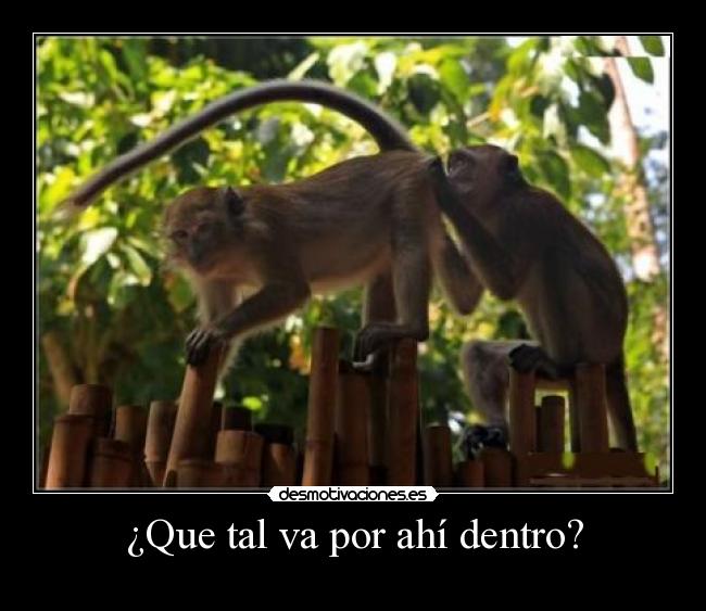 ¿Que tal va por ahí dentro? - 