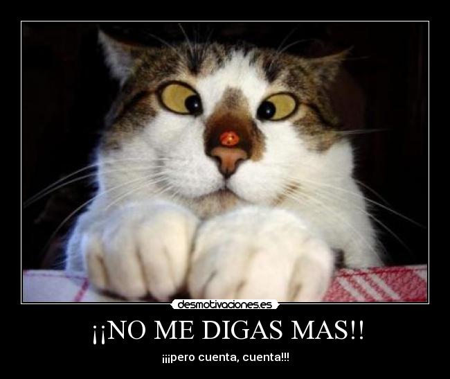 ¡¡NO ME DIGAS MAS!! - 