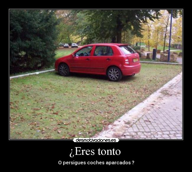 ¿Eres tonto - O persigues coches aparcados ?