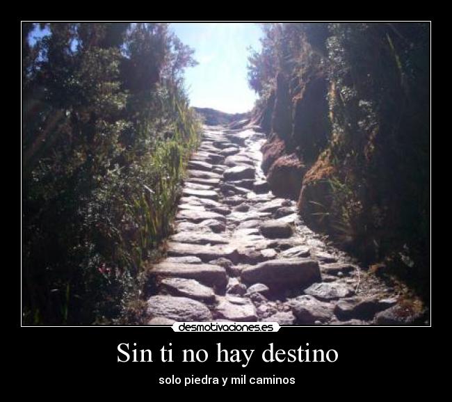 Sin ti no hay destino - 