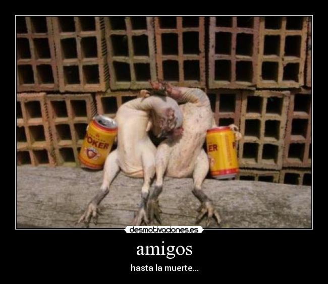 amigos -