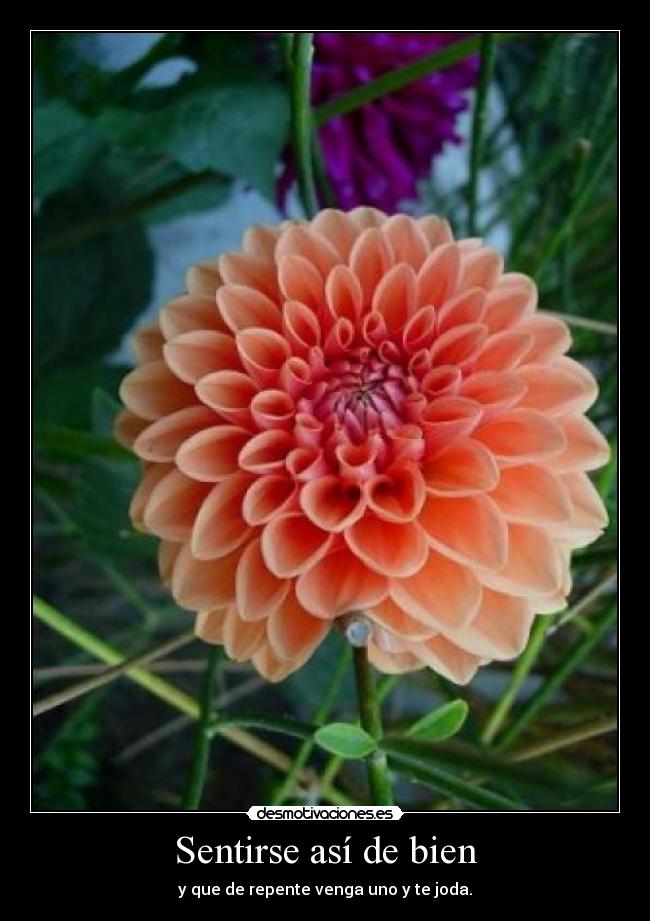 Sentirse así de bien -