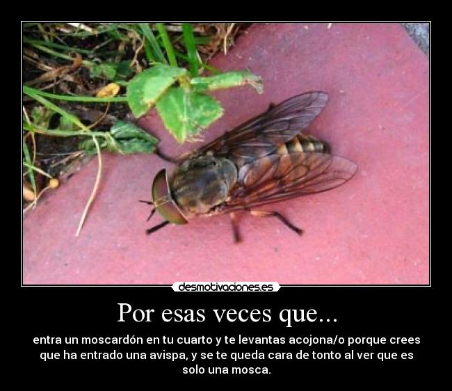 Por esas veces que... - 