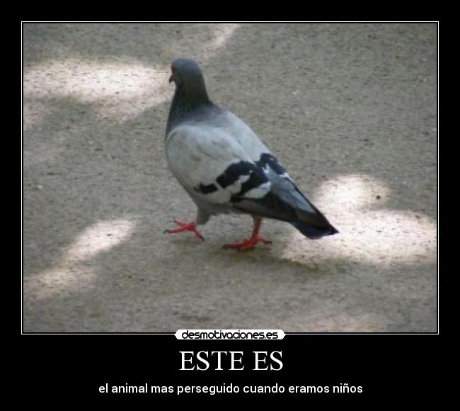 ESTE ES -