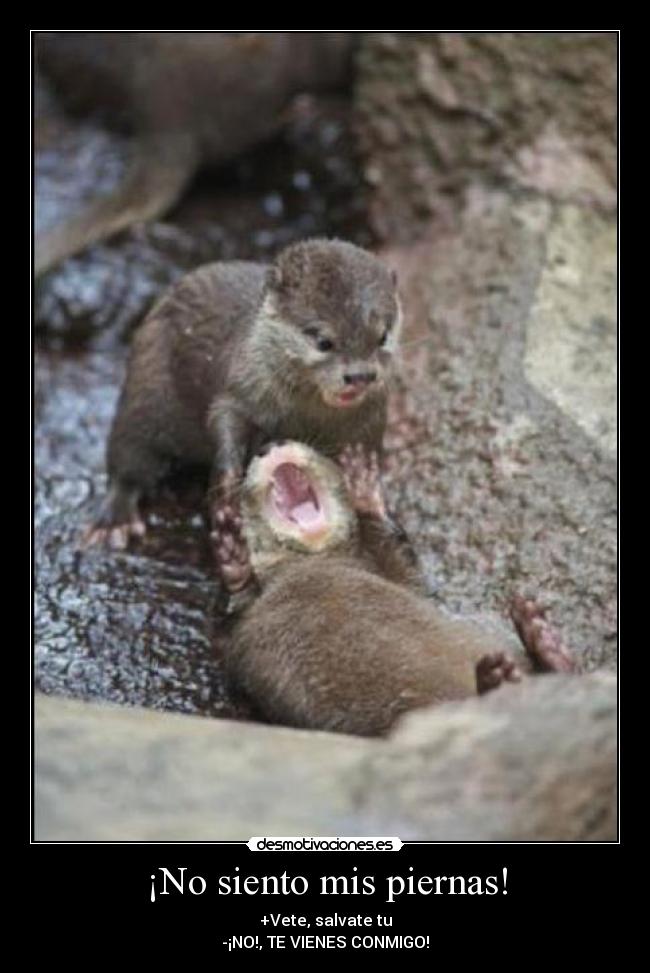 ¡No siento mis piernas! - 