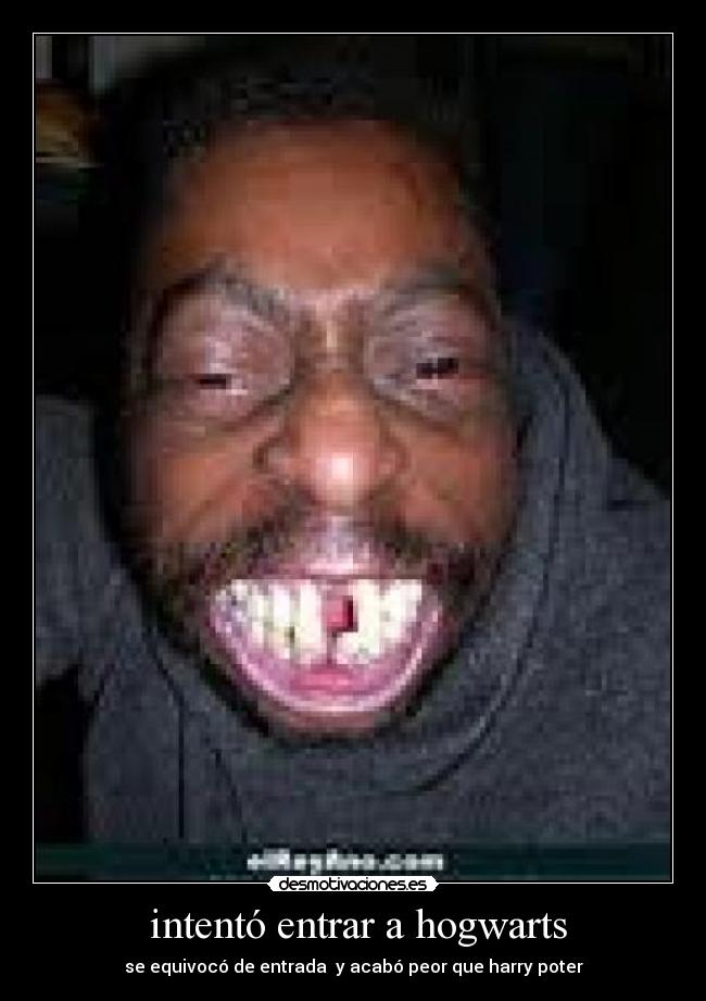 intentó entrar a hogwarts - se equivocó de entrada y acabó peor que harry poter