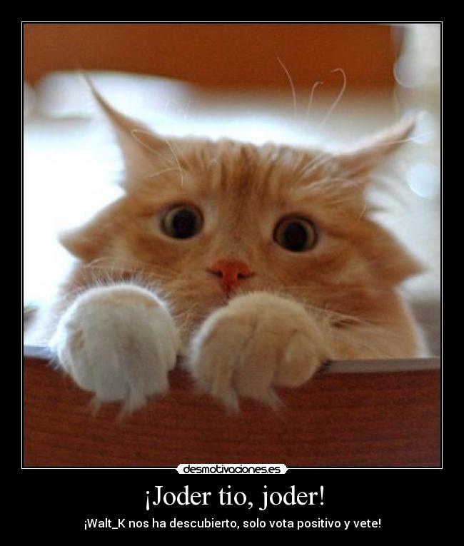 ¡Joder tio, joder! -