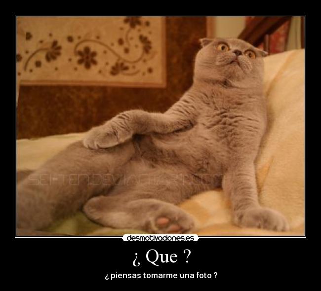 ¿ Que ? -