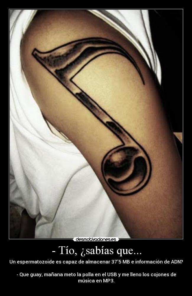 - Tío, ¿sabías que... -