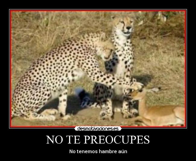 NO TE PREOCUPES -