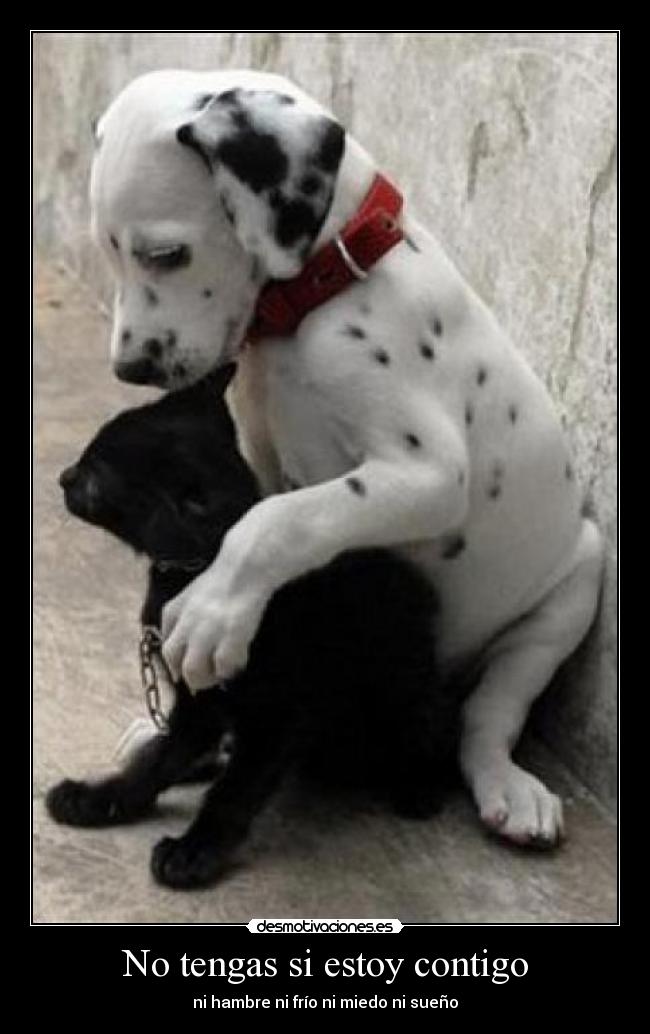 No tengas si estoy contigo - ni hambre ni frío ni miedo ni sueño