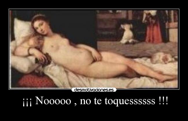 ¡¡¡ Nooooo , no te toquessssss !!! -