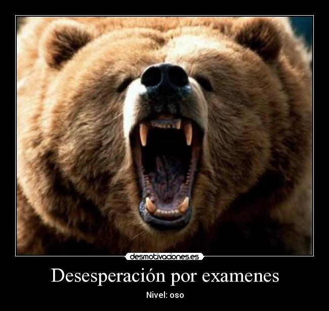 Desesperación por examenes - 