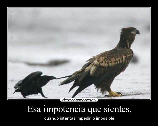 Esa impotencia que sientes, - 