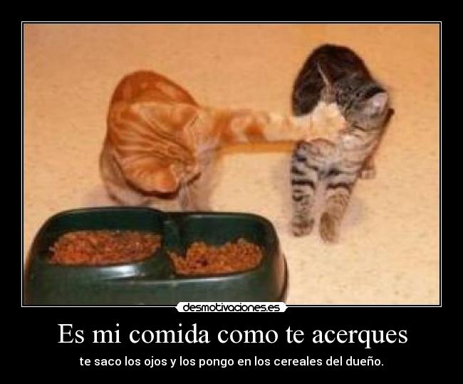 Es mi comida como te acerques - 
