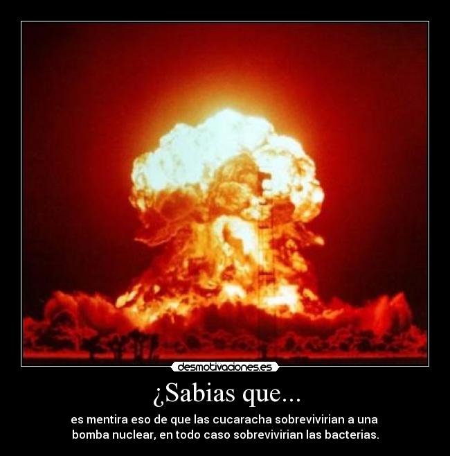 ¿Sabias que... - 