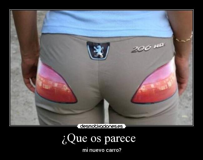 ¿Que os parece - mi nuevo carro?