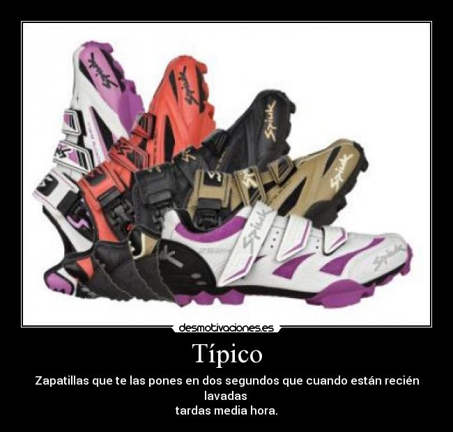 Típico - Zapatillas que te las pones en dos segundos que cuando están recién lavadas 
tardas media hora.