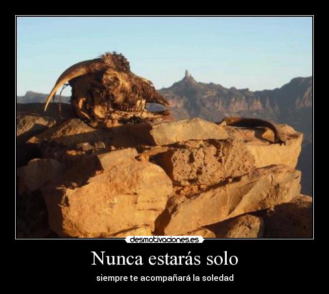 Nunca estarás solo -