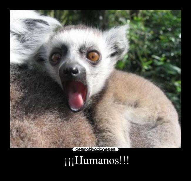 ¡¡¡Humanos!!! - 