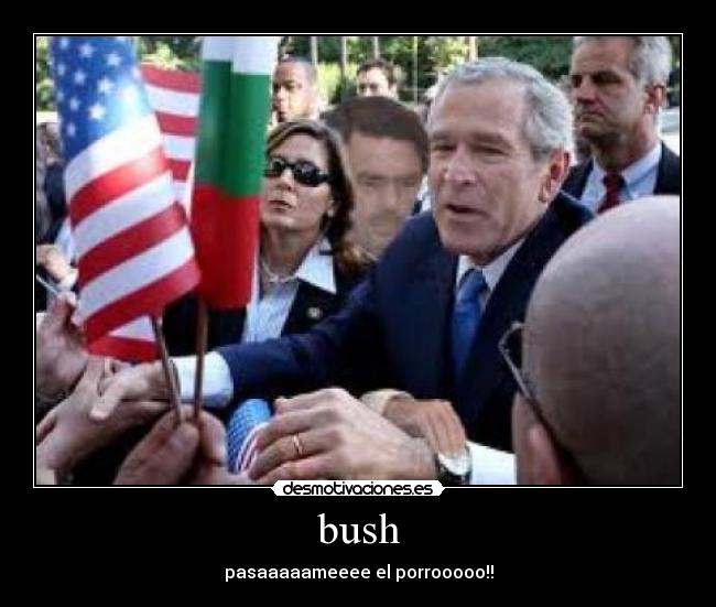 bush - 